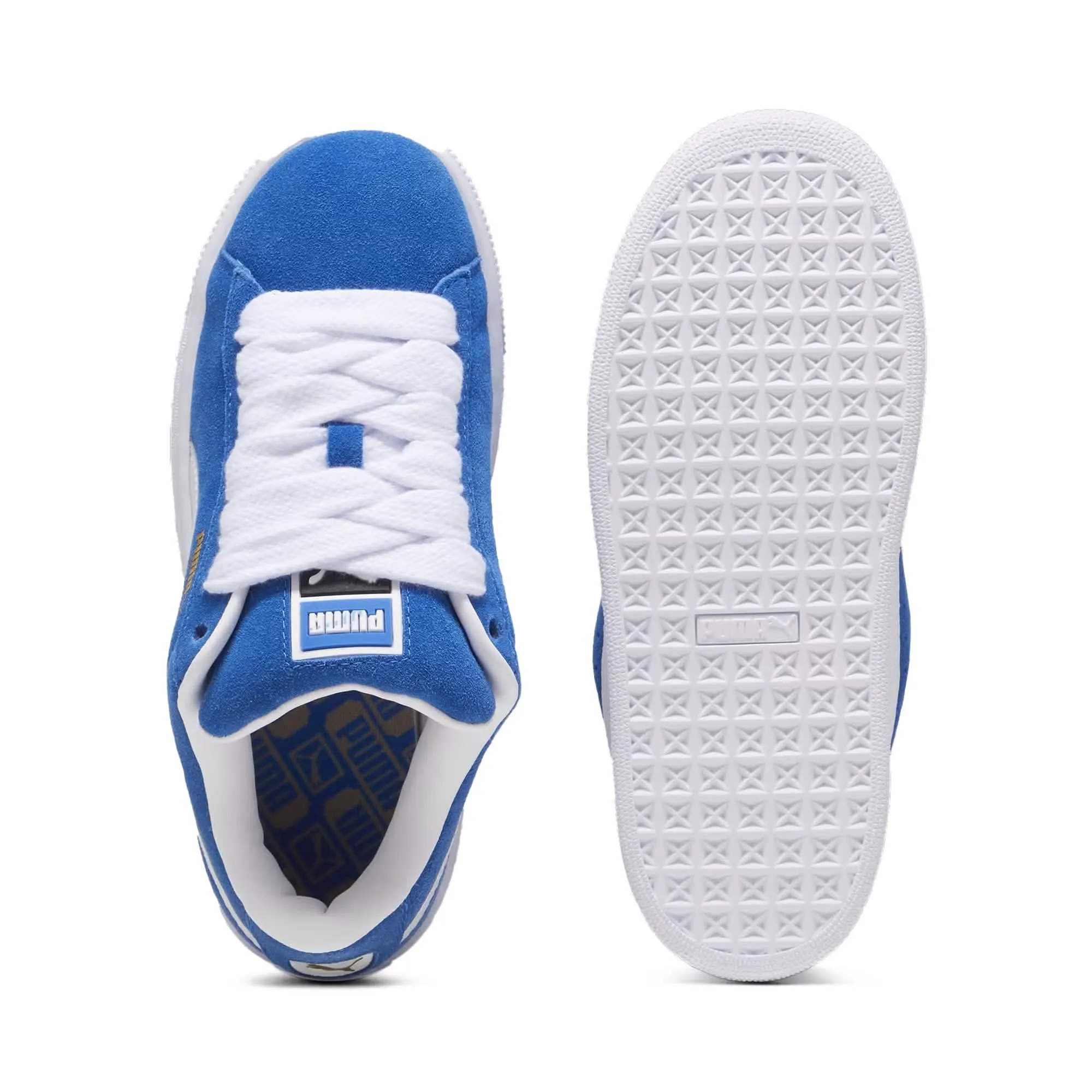 Suede XL Team Royal